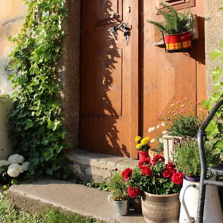 لوكيت Lazy River Hostel المظهر الخارجي الصورة