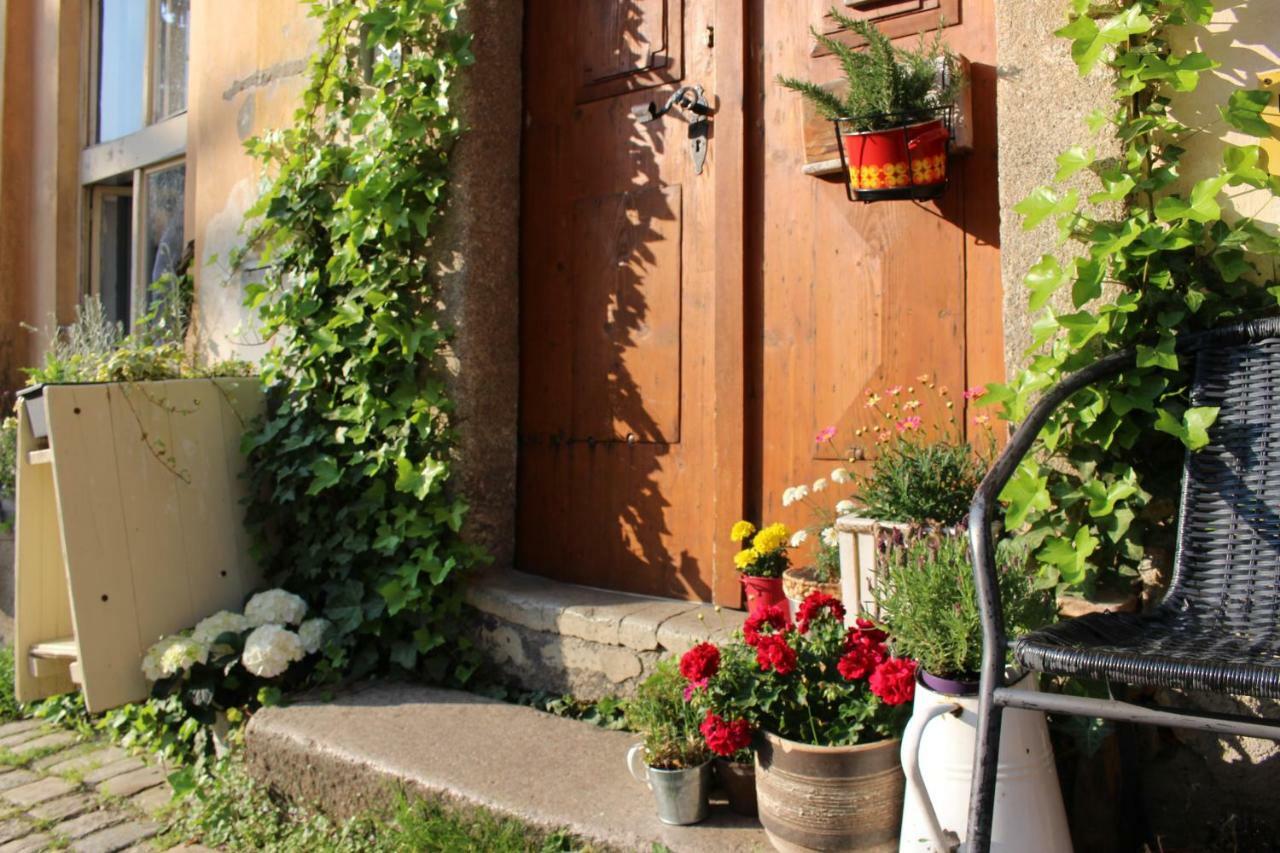 لوكيت Lazy River Hostel المظهر الخارجي الصورة